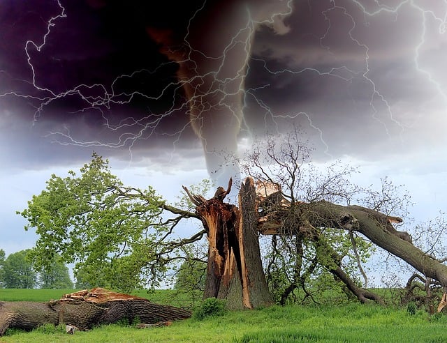 damage