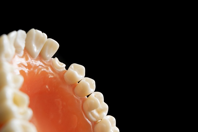 dentist