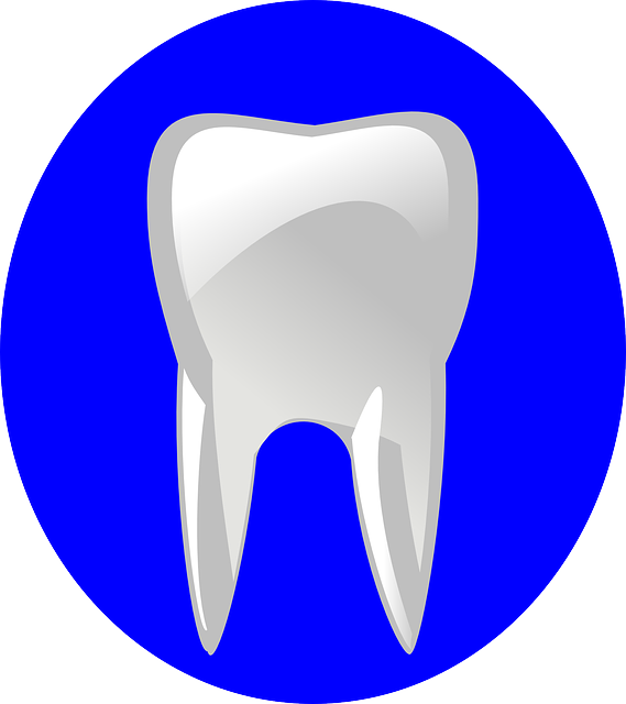 dentist-640x480-46403471.png