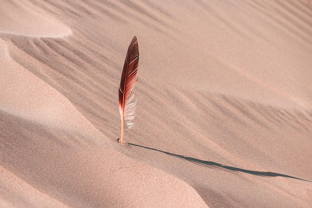 dunes