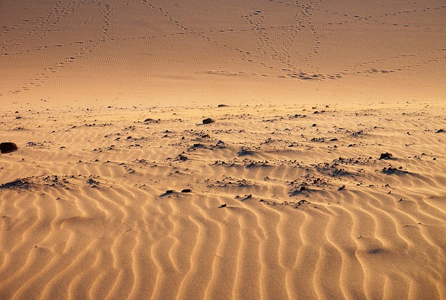 dunes-640x480-24482073.jpeg