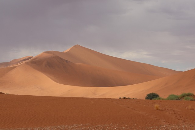 dunes