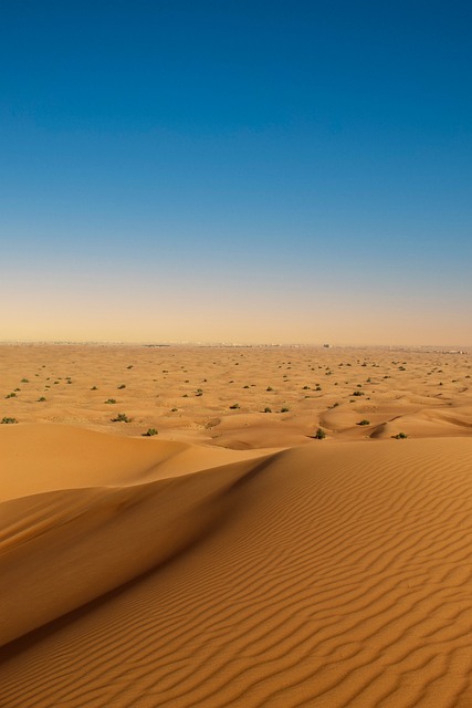 dunes