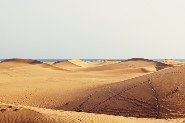 dunes