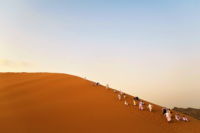 dunes