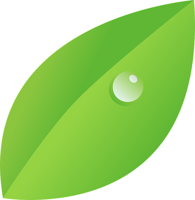 eco friendly