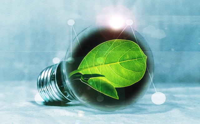 electric-lights-640x480-50313334.jpeg
