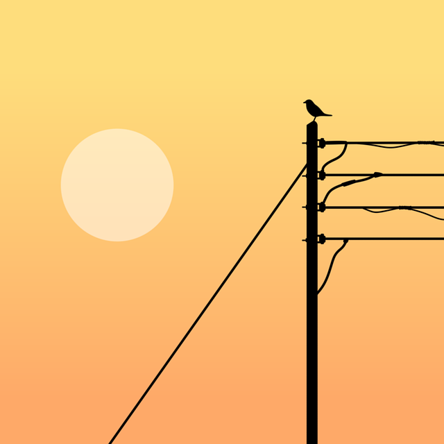 electric lights