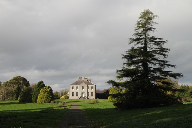 estate-640x480-71872221.jpeg