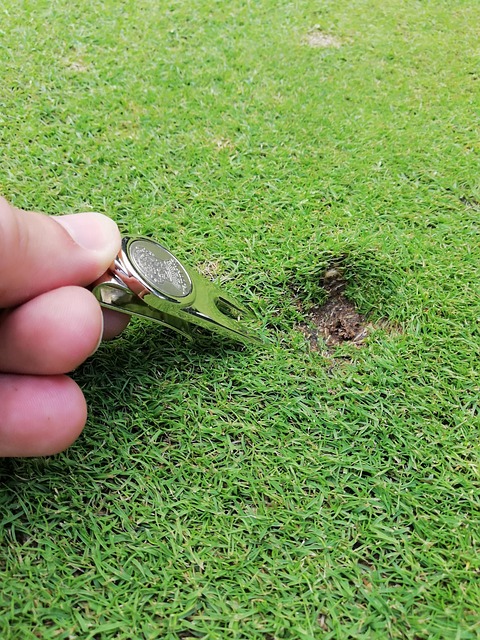 fairway