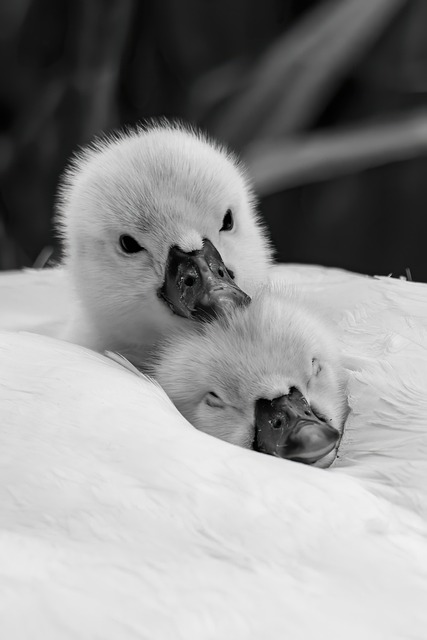 family-640x480-80728235.jpeg