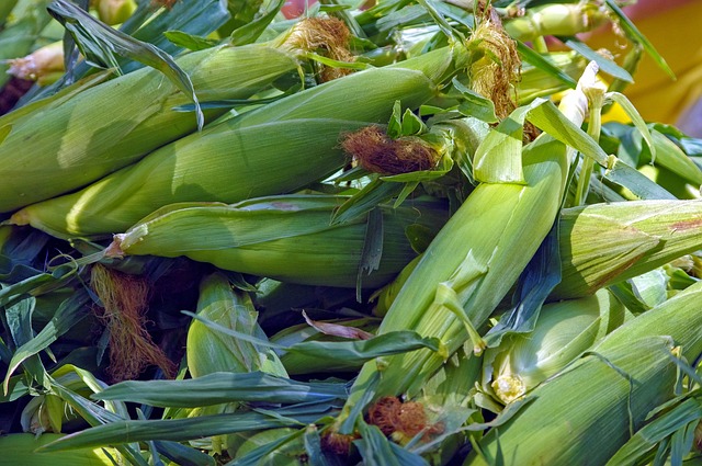 farmers market