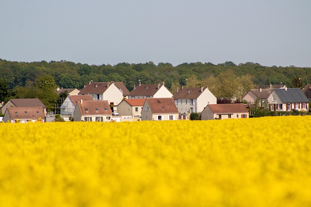 field