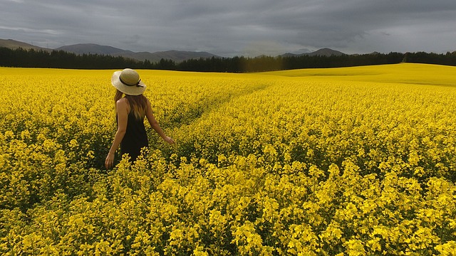 field