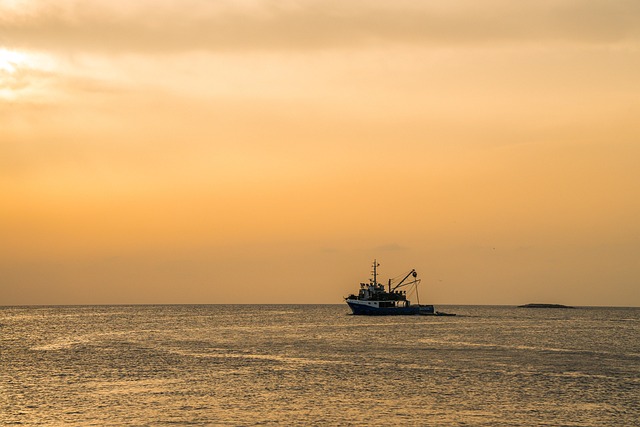 Fishing