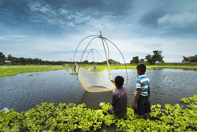 fishing