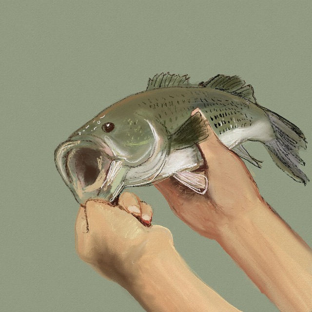fishing-640x480-30484615.jpeg