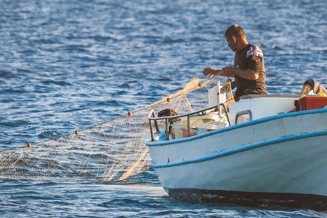 fishing