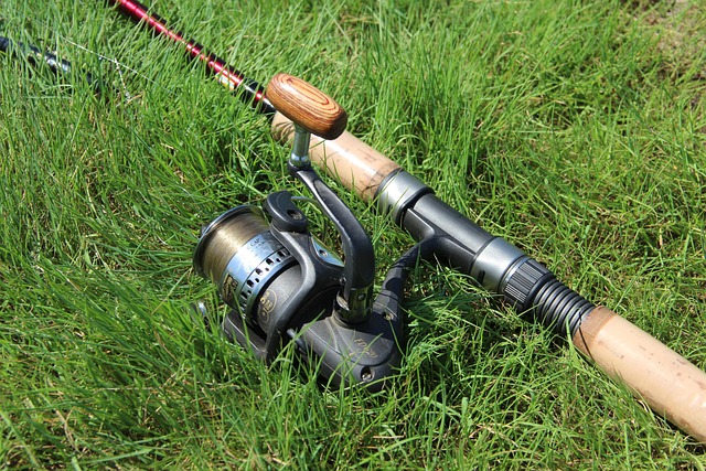 fishing-640x480-42672916.jpeg