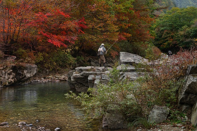 fishing-640x480-51355207.jpeg