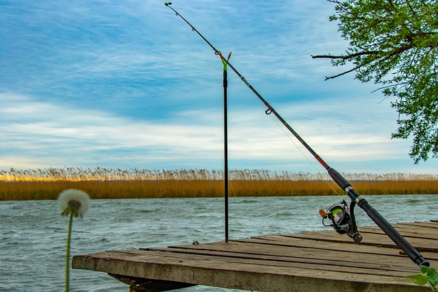 fishing