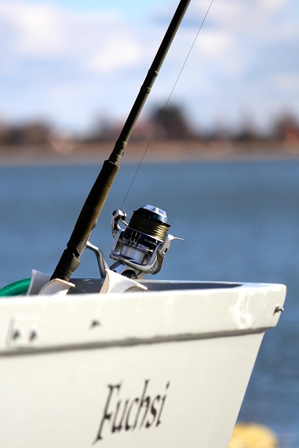 fishing-640x480-6588165.jpeg
