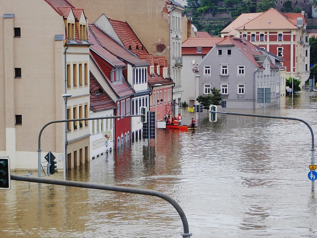 Understanding Water Damage Restoration: From Assessment to Mold Prevention