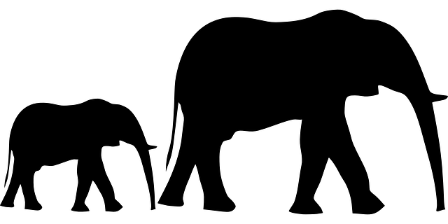 follow-up-640x480-94256366.png