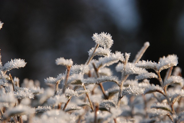 freeze-640x480-64269852.jpeg