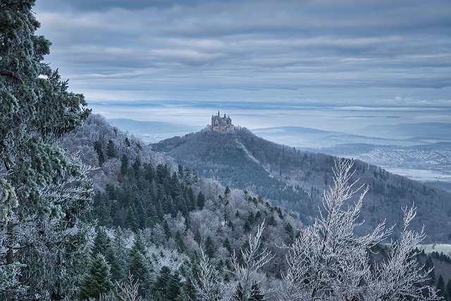 frost-640x480-28055171.jpeg
