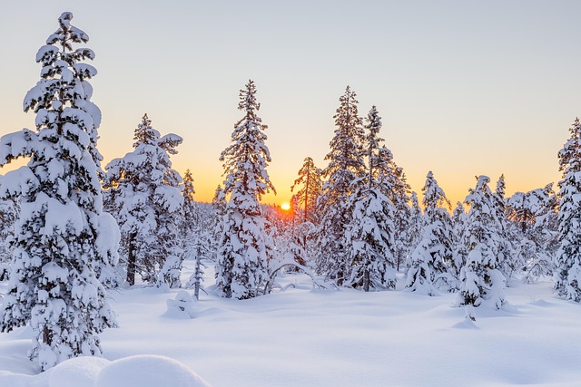 frost-640x480-78225125.jpeg