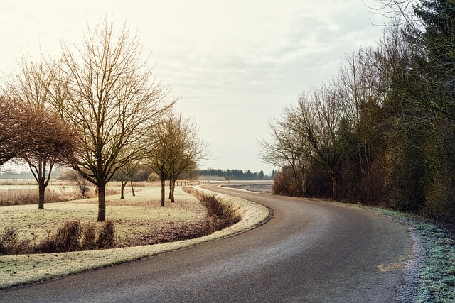 frost