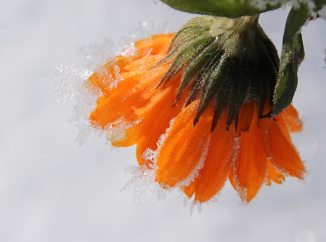 gardens-640x480-21384759.jpeg