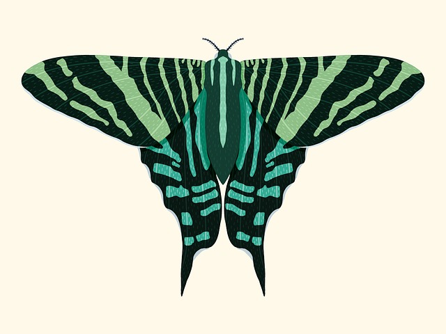 green-640x480-70642131.jpeg