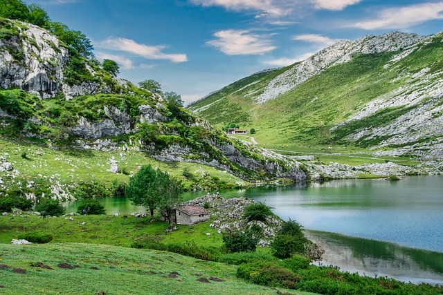 Greenery