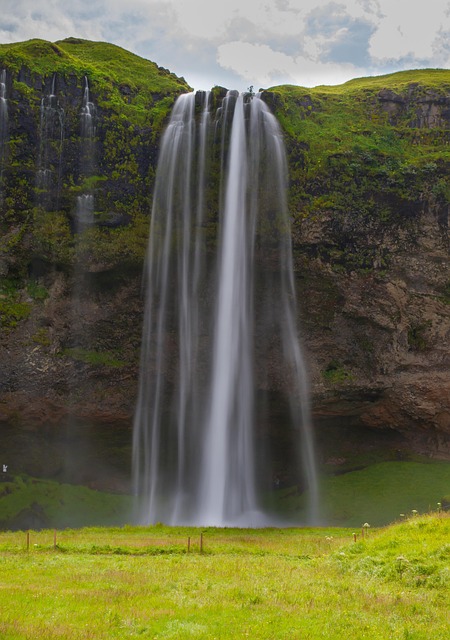 Greenery