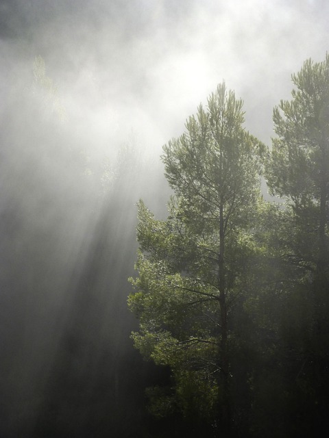 Greenery