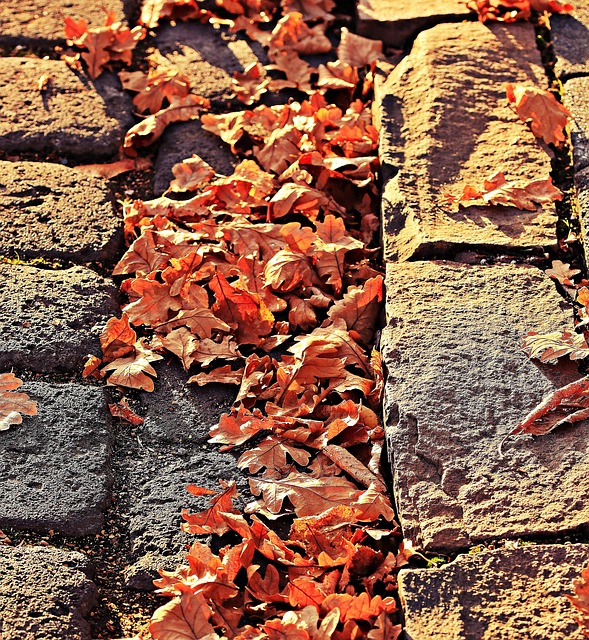 gutter