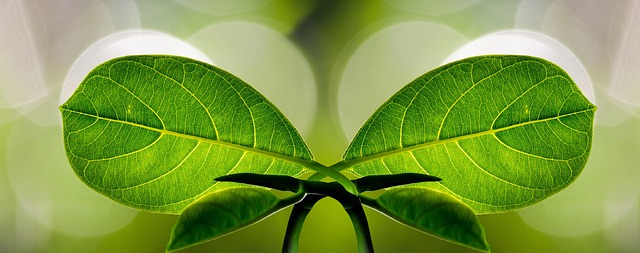 harmony