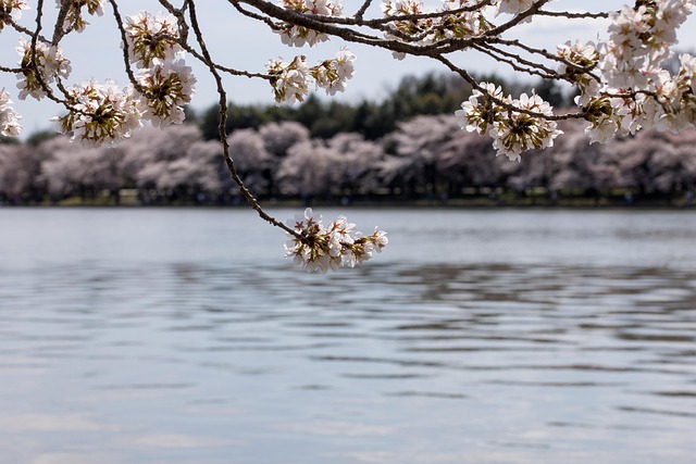 harmony