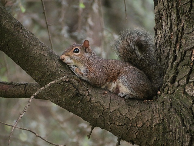 hidden-640x480-24684695.jpeg