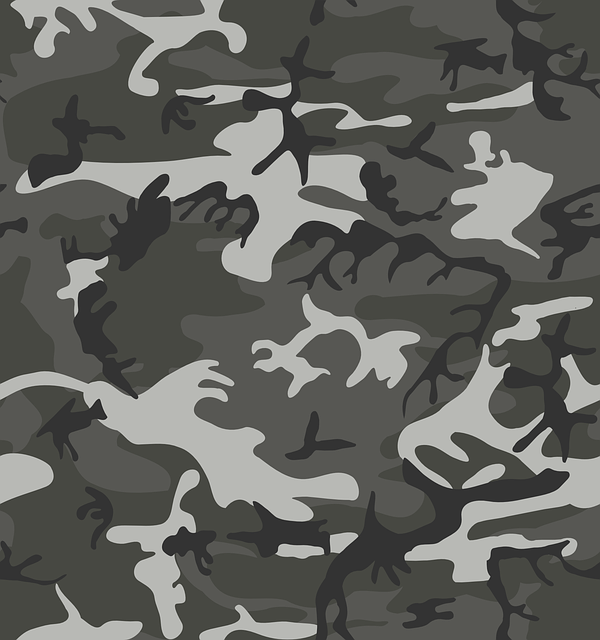 hidden-640x480-79141145.png