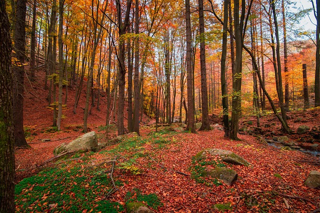 hiking-640x480-92431683.jpeg