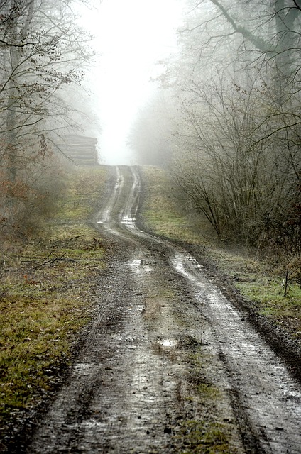 humidity-640x480-27158940.jpeg