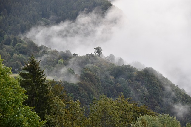 humidity-640x480-50612955.jpeg