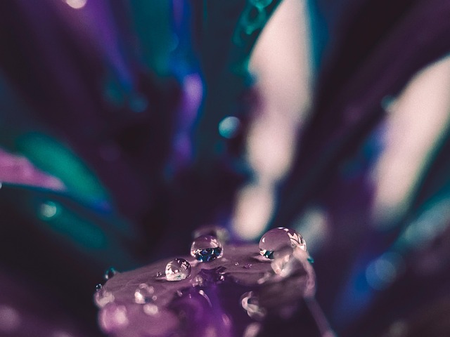 humidity