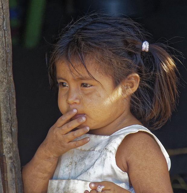 indigenous-640x480-55998126.jpeg