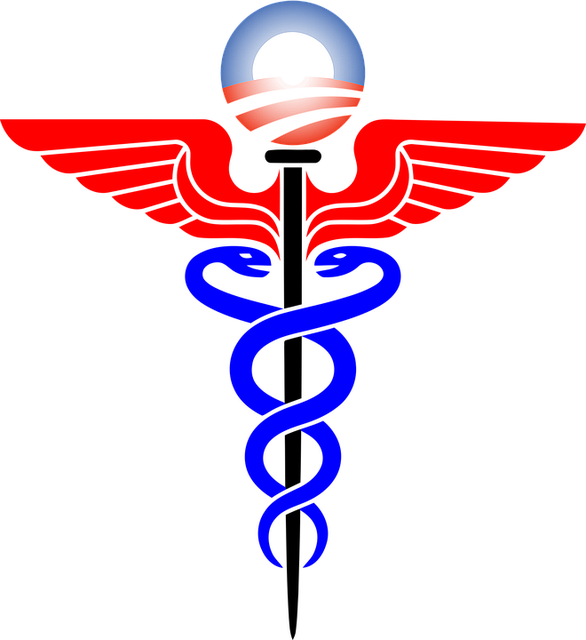 insurance