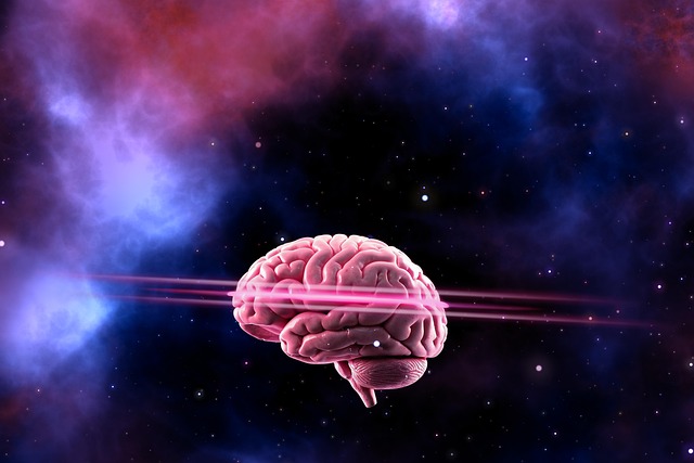 intelligent