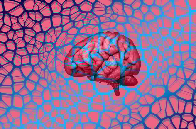 intelligent-640x480-87168906.jpeg